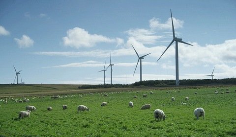 Możliwe obniżenie kosztów energii wiatrowej o 20 proc.