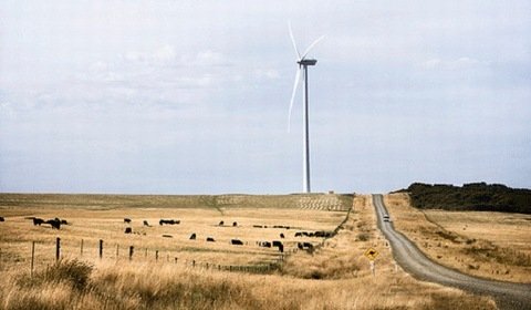 Ceny energii wiatrowej w aukcjach w Australii
