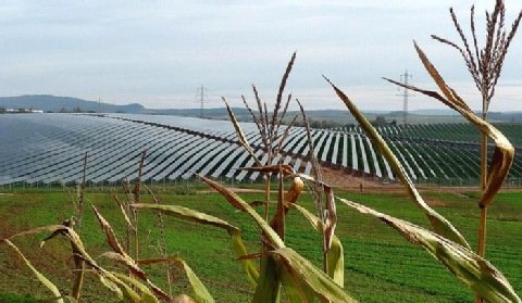 Chińczycy przejmują farmy PV na Wyspach