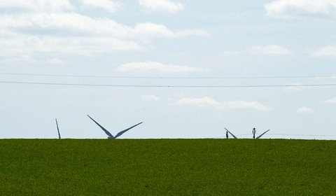 ME obniża cenę referencyjną dla elektrowni wiatrowych