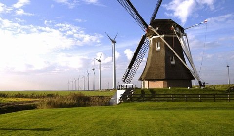 Holandia znów staje się krajem wiatraków
