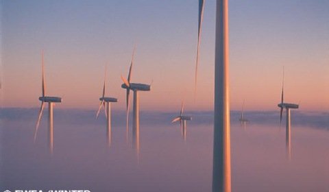Niemcy zbudują farmę wiatrową w Małopolsce?