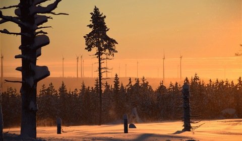 Szwedzi zbudują największą lądową farmę wiatrową w Europie