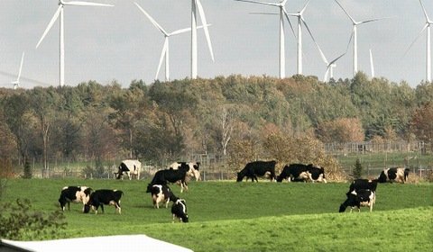 Rekord generacji wiatrowej i słonecznej w Niemczech