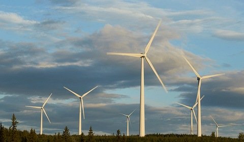 Rosatom zbuduje największą farmę wiatrową w Rosji