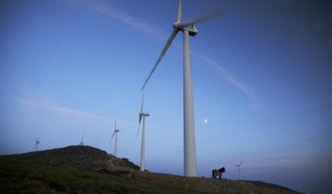 PGE Energia Odnawialna ma nowego prezesa