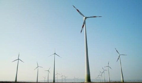 Petrolinvest i Taiga Mistral zbudują farmę wiatrową na Żuławach