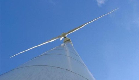 GDF Suez zainaugurował pracę dwóch farm wiatrowych