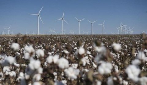 Inventi przejęło udziały w projekcie farmy wiatrowej o mocy 100 MW