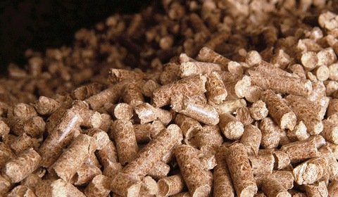Wyniki aukcji dla biomasy CHP i biogazu we Francji