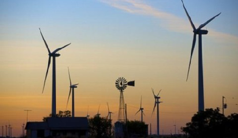 Światowy Dzień Wiatru: dla 73% Polaków farmy wiatrowe są korzystne dla środowiska