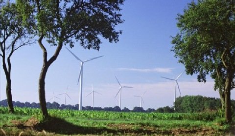 Projekt największej farmy wiatrowej na Dolnym Śląsku z problemami