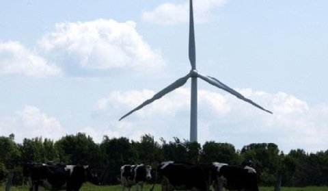 Potrzeba lepszych regulacji środowiskowych dla farm wiatrowych?