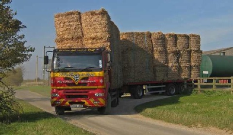 Rusza handel biomasą przez Internet. Głównie z Europą Wschodnią