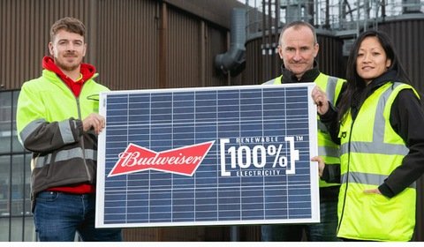 Energia z wielkiej farmy PV zasili producenta Budweisera
