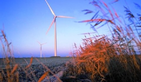 Energa kupi kolejną farmę wiatrową