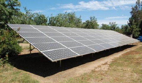 PGE, Tauron i Enea będą budować farmy solarne?
