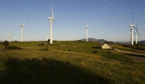 PGE Energia Odnawialna chce mieć 1 GW wiatraków