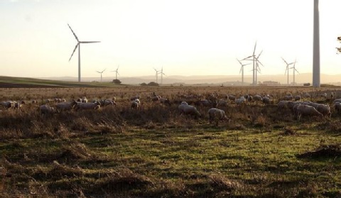 Na Śląsku powstanie farma wiatrowa za 140 mln zł