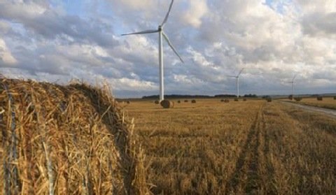 Taiga Mistral buduje farmę wiatrową k. Kobylnicy
