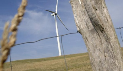 Prof. Kraszewski o decyzjach w kwestii lokalizacji farm wiatrowych