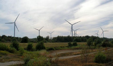 Rząd Estonii zaskoczył rodzimą branżę energii wiatrowej