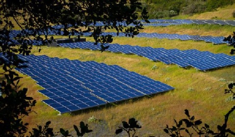 IHS zapowiada wzrost liczby instalacji PV i ..spadek przychodów branży