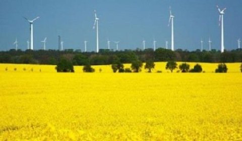 Powstanie jedna z największych farm wiatrowych w Polsce?