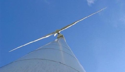 Czesi wchodzą na polski rynek energii wiatrowej