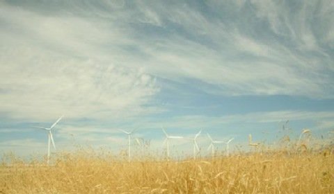 Raport o oddziaływaniu na środowisko farmy wiatrowej