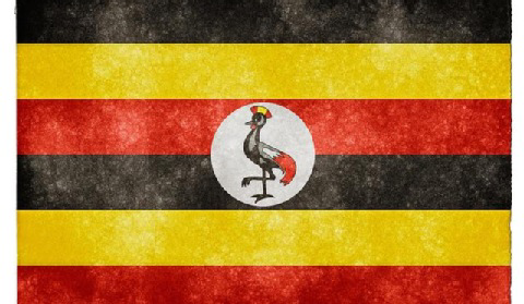 Uganda wprowadza taryfy gwarantowane dla energetyki odnawialnej. Gwarancje dadzą niemieckie banki