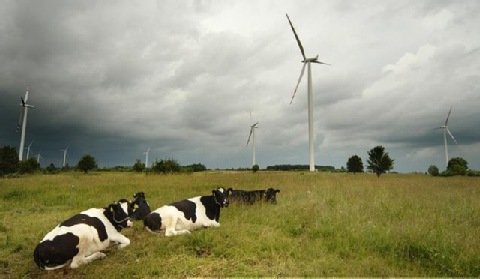 Budowa farmy wiatrowej możliwa bez miejscowego planu zagospodarowania przestrzennego