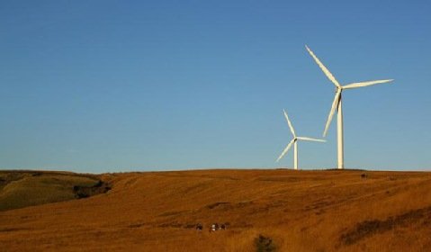 Dong sprzedaje kolejne farmy wiatrowe
