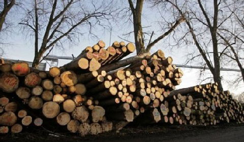 Urząd Regulacji Energetyki zaprasza na spotkanie w sprawie biomasy