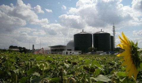 Biogazownię w Lęborku zasili substrat z fabryki frytek
