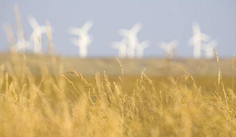 Porażka branży &quot;zielonej&quot; energetyki w Polsce